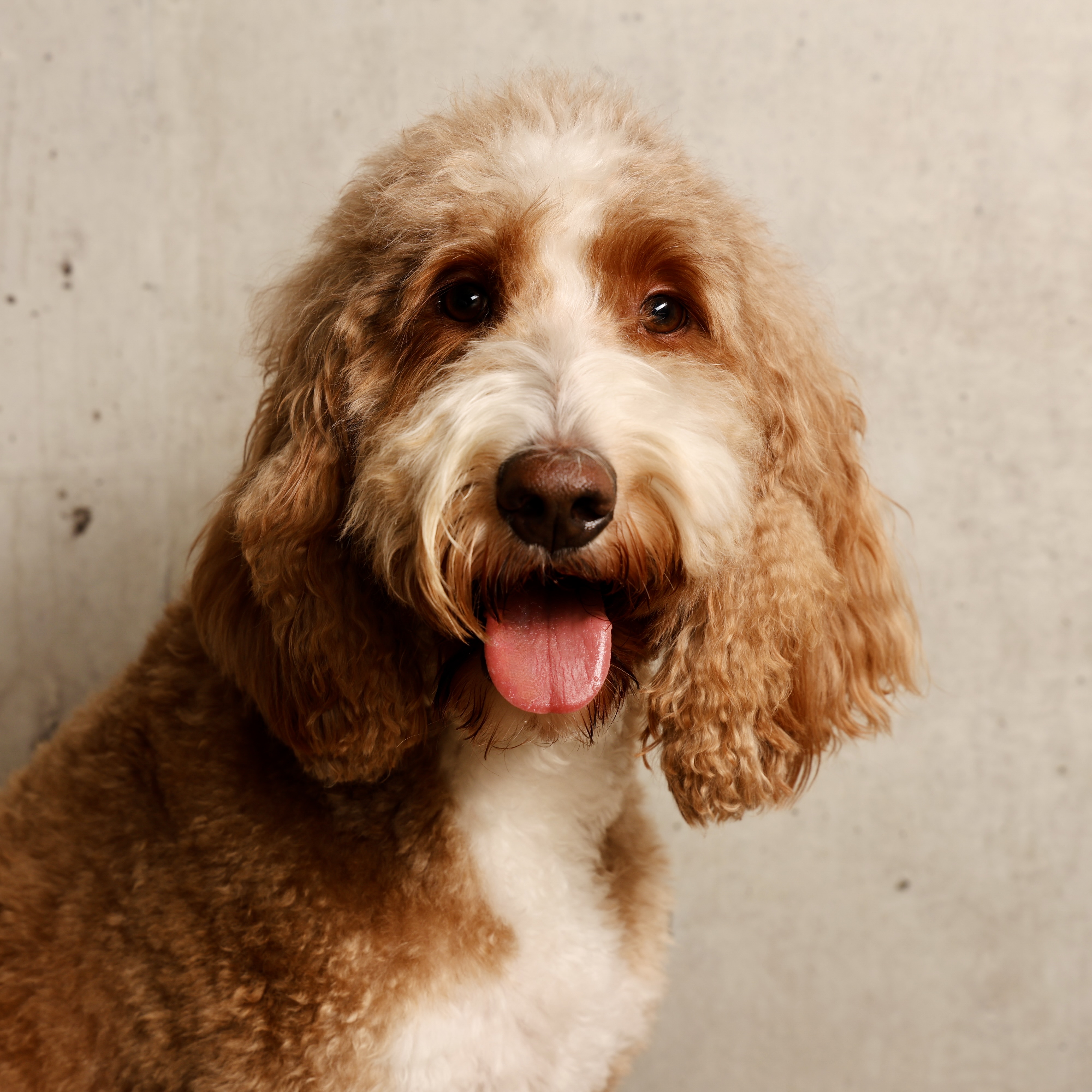 Mitarbeiter Portrait