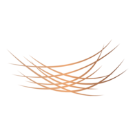 Nestwerk GmbH