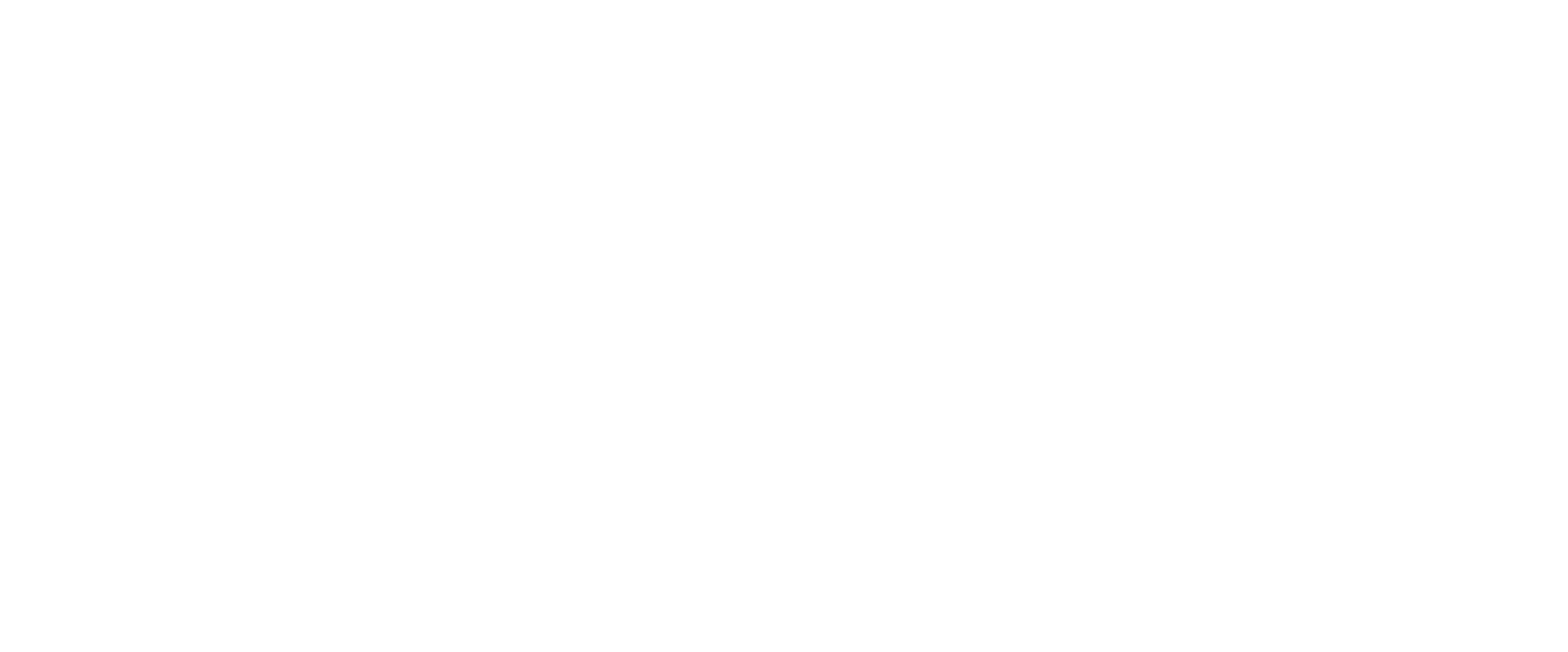  Prion Consulting GmbH Logo Weiß