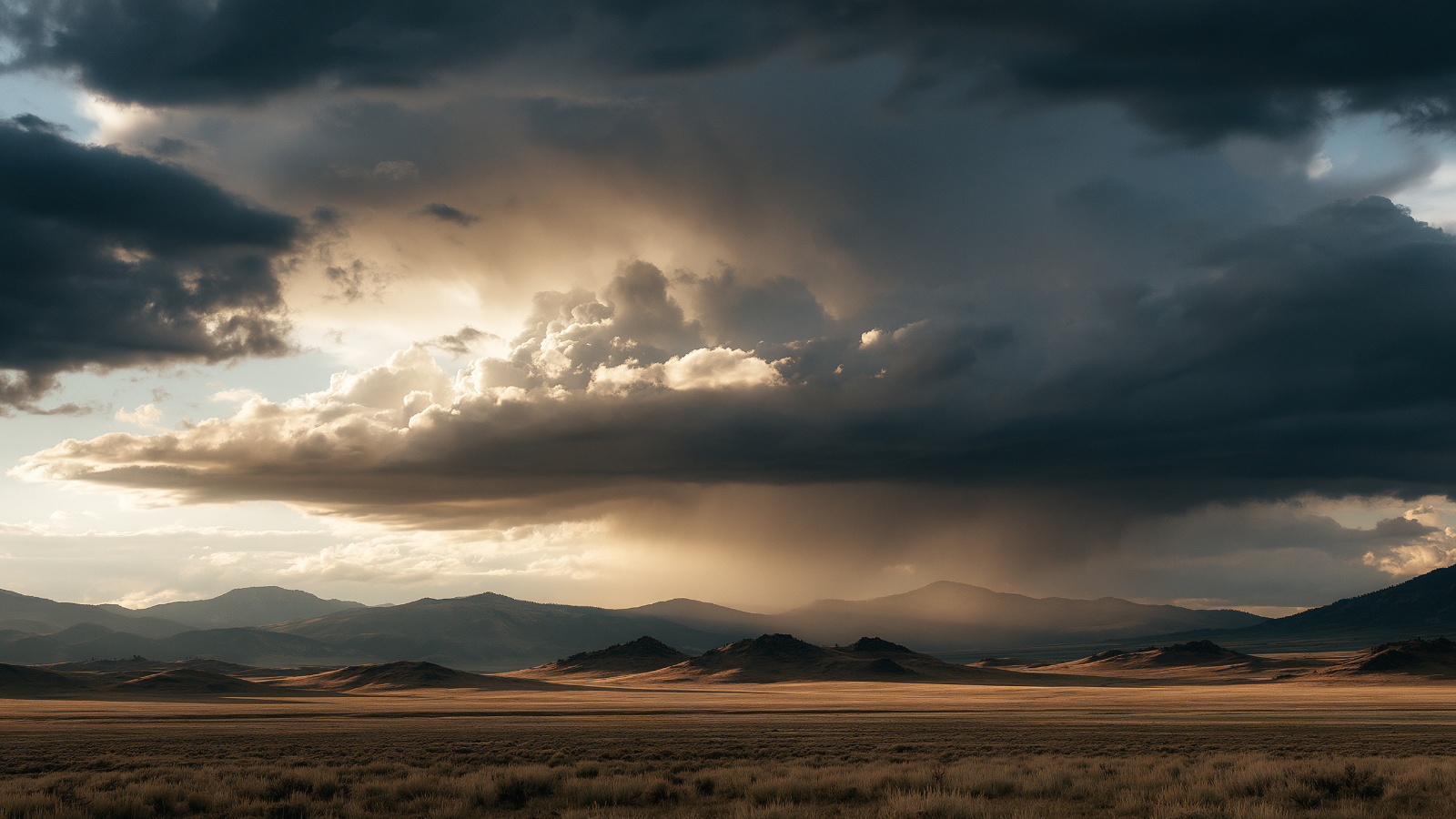 Evening Rain