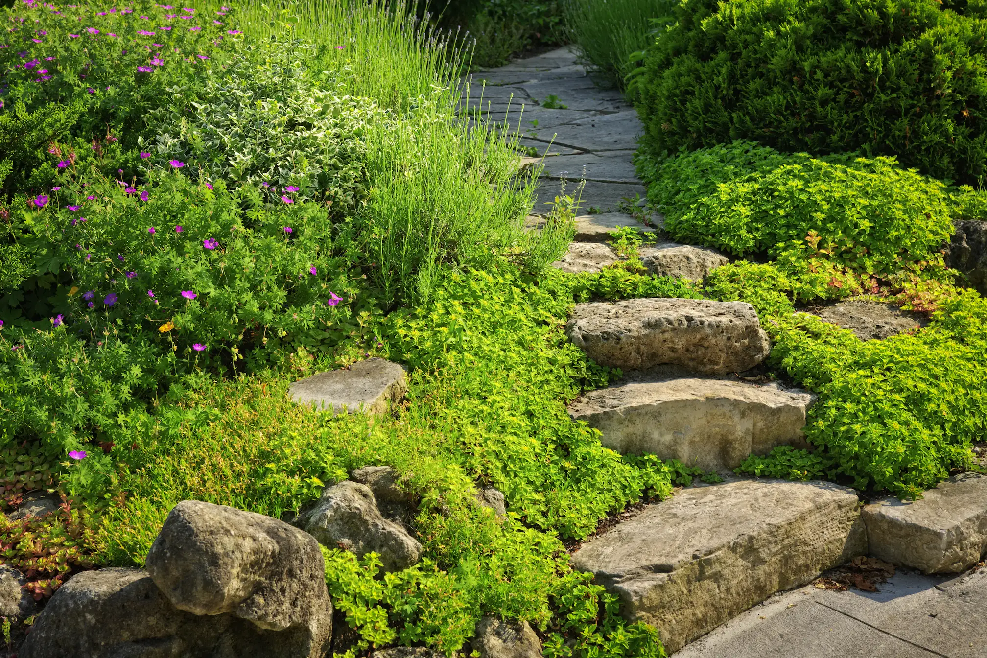 Natursteinstufen und Gartenweg mit üppiger Bepflanzung und Stauden