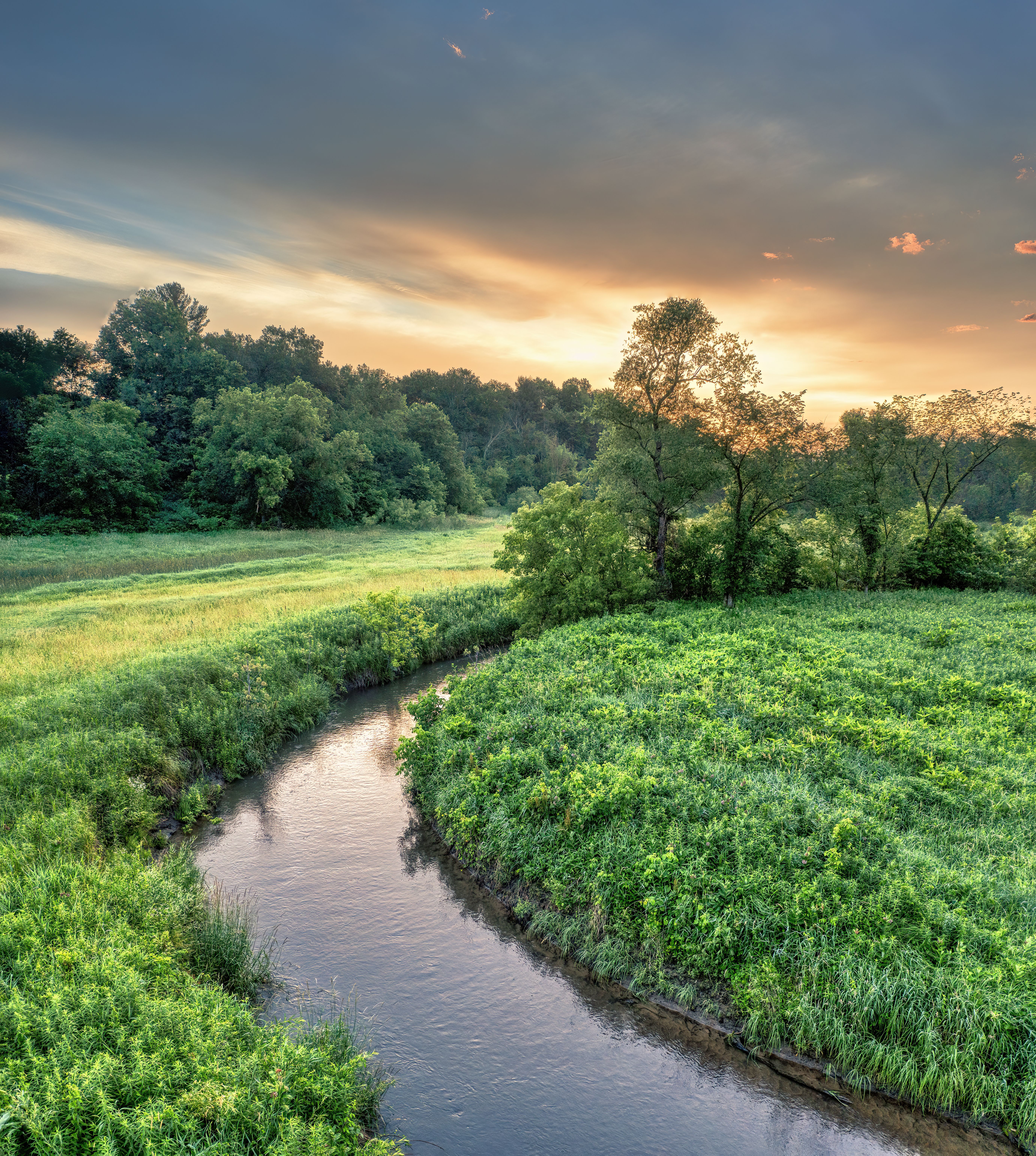Environmental stewardship