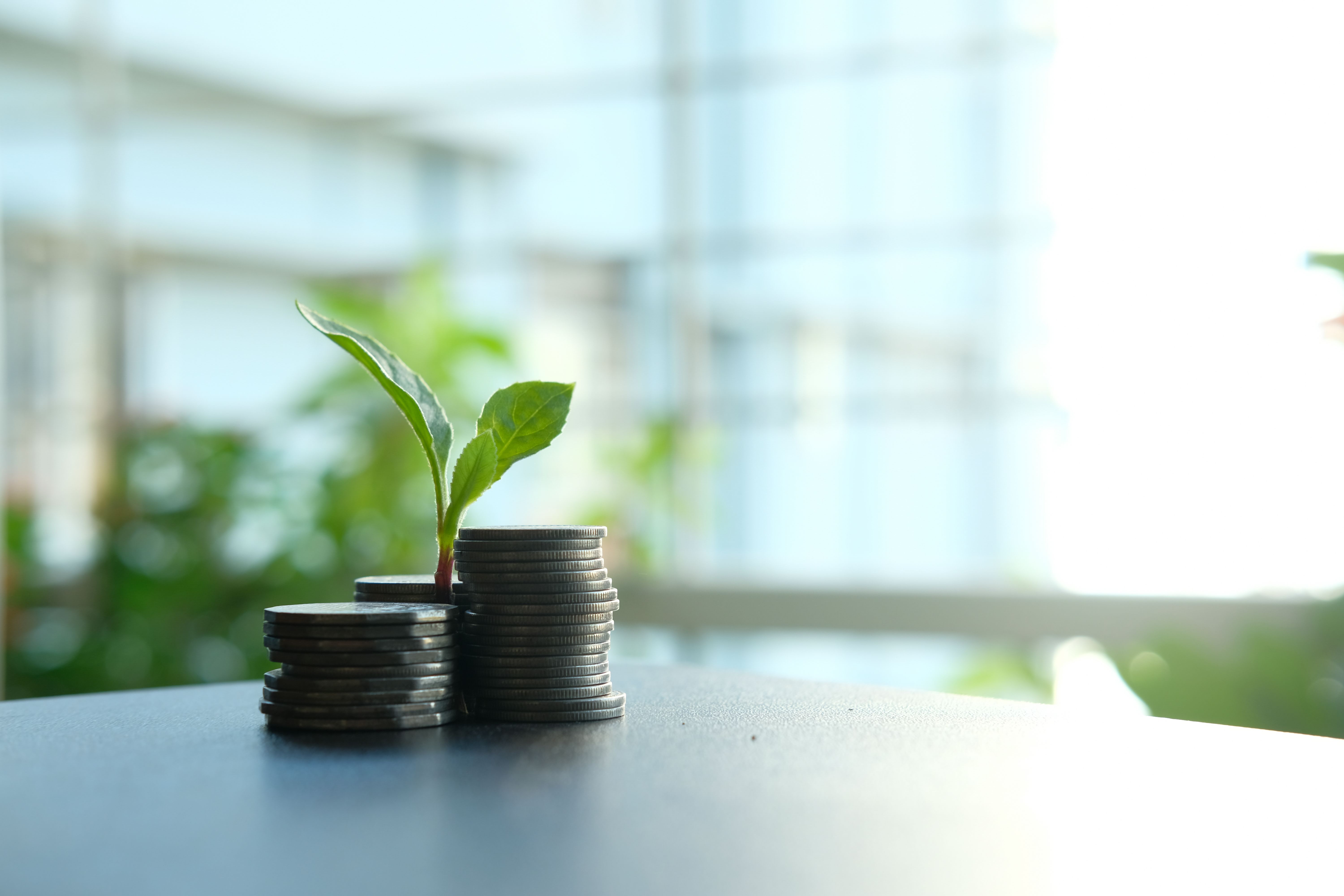 Economic Growth