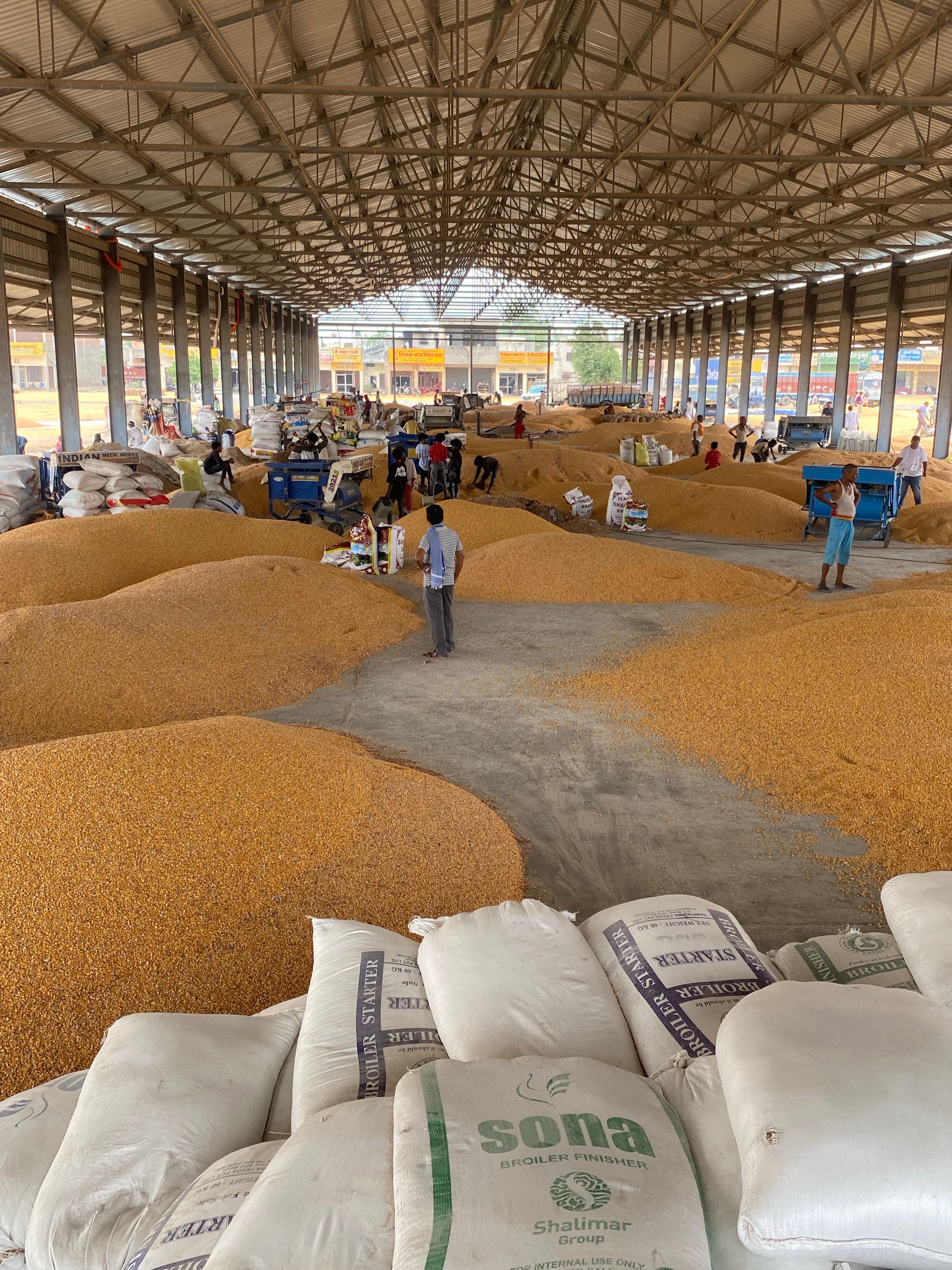 weak agricultural value chains warehouse