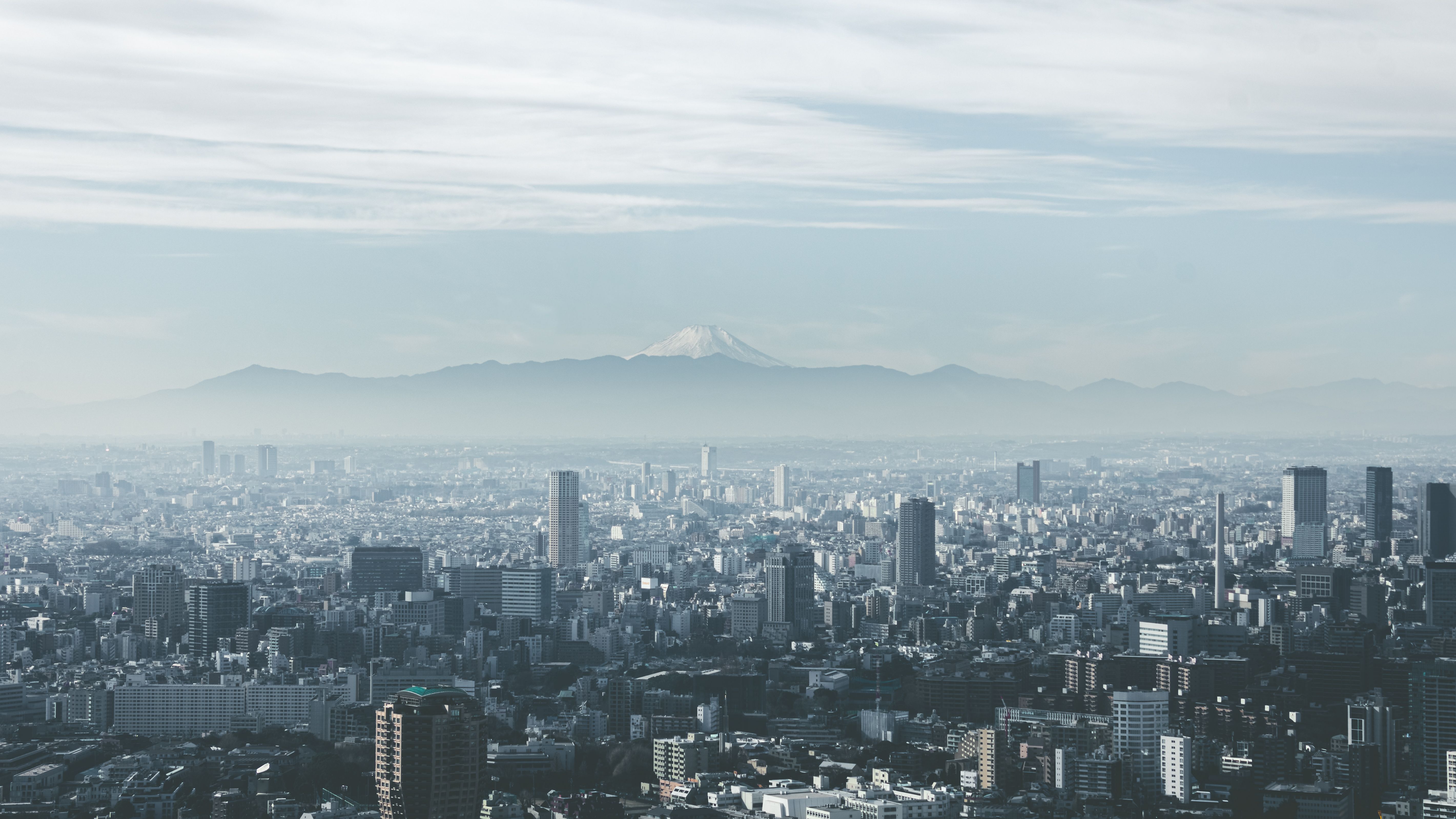 urbanization and demographic challenges