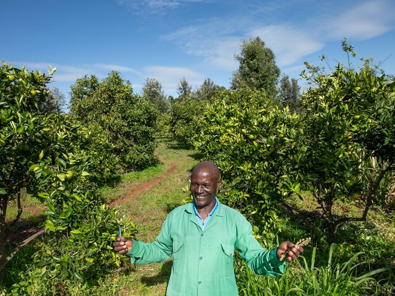 LACOMP agricultural impact story