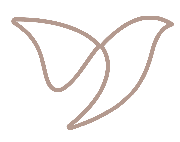 Was ist Somatic Experiencing?