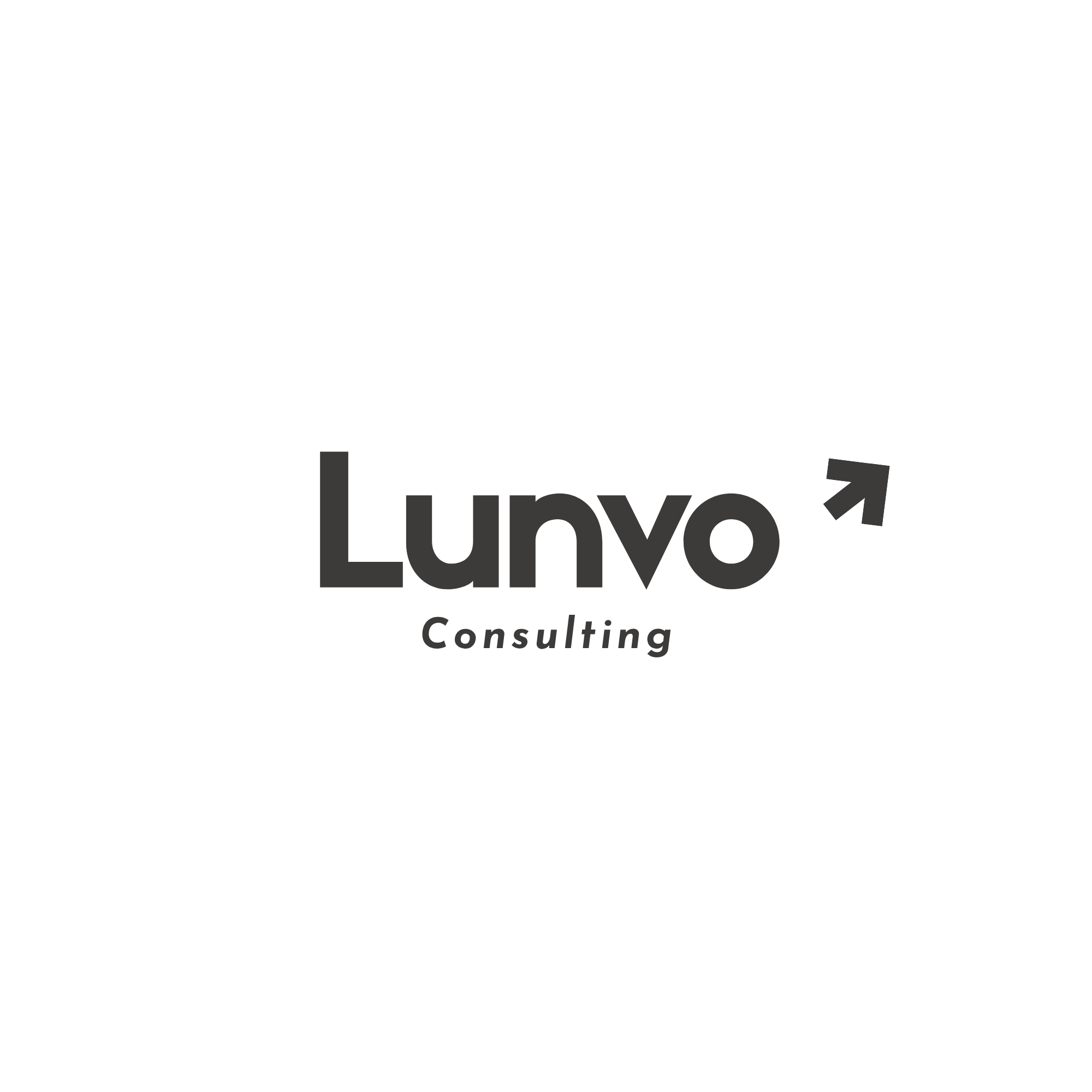 lunvoconsulting.com