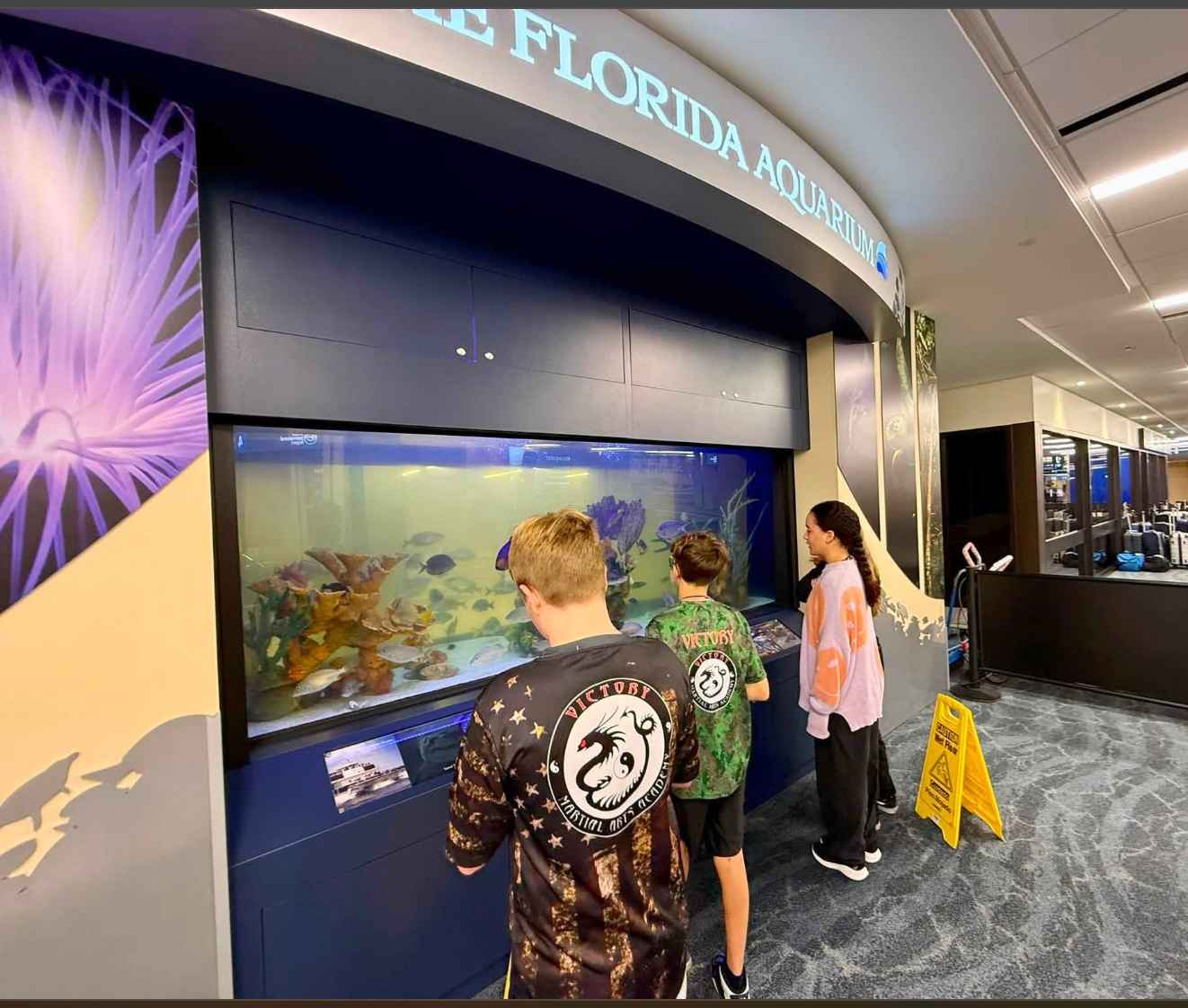 Summer campers explore the exhibits at the Florida Aquarium.