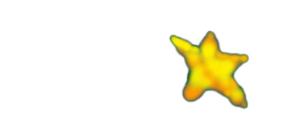 Stern Künstlerische Leitung