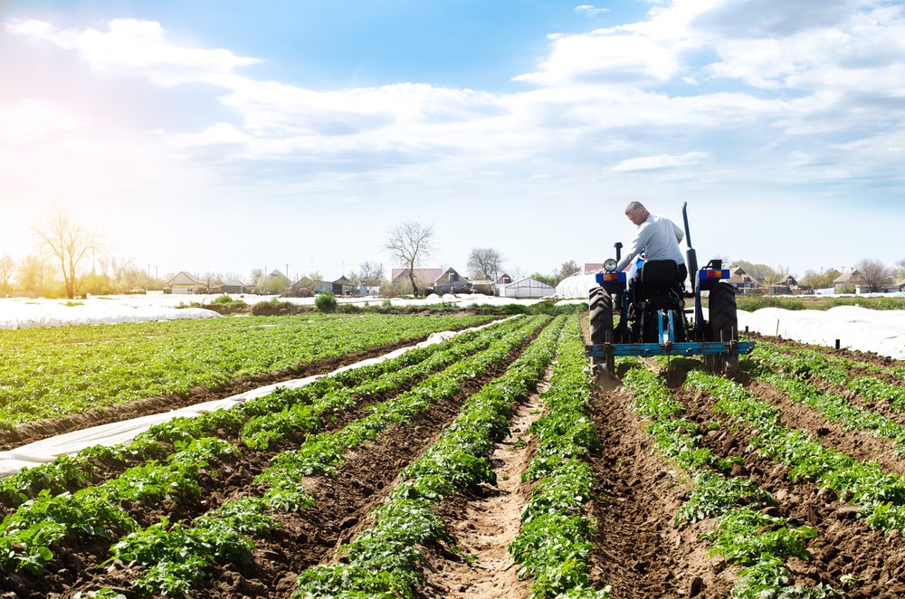 Famer on tractor harvesting crops