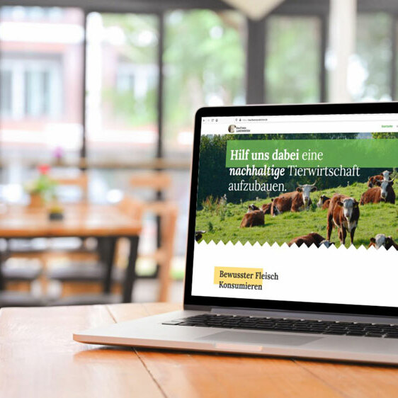 individuelle Website Gestaltung