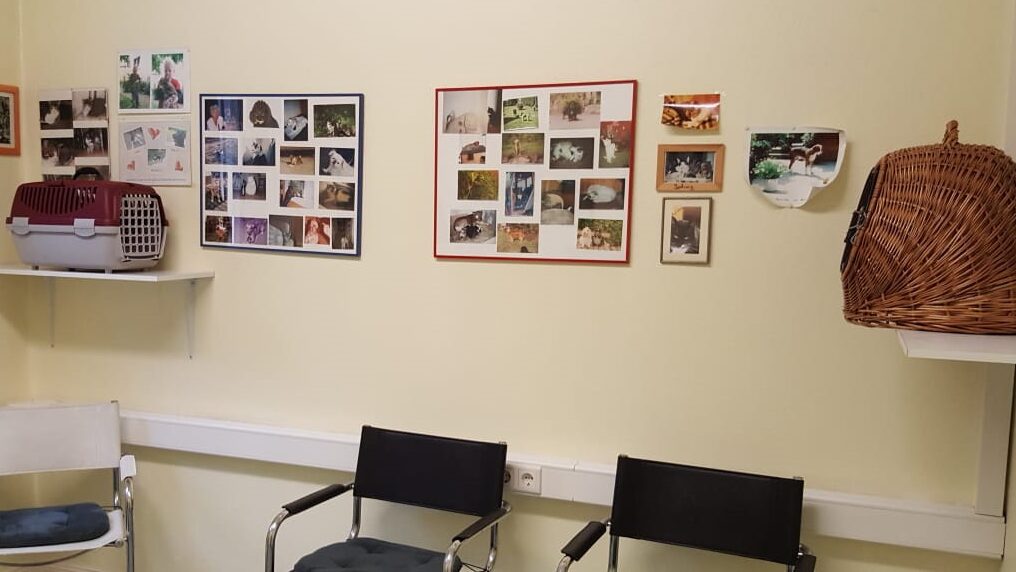 Katzenfreundliches Wartezimmer