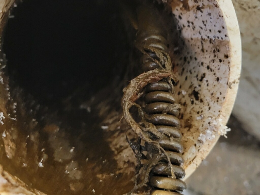 plumber to fix clogged drain