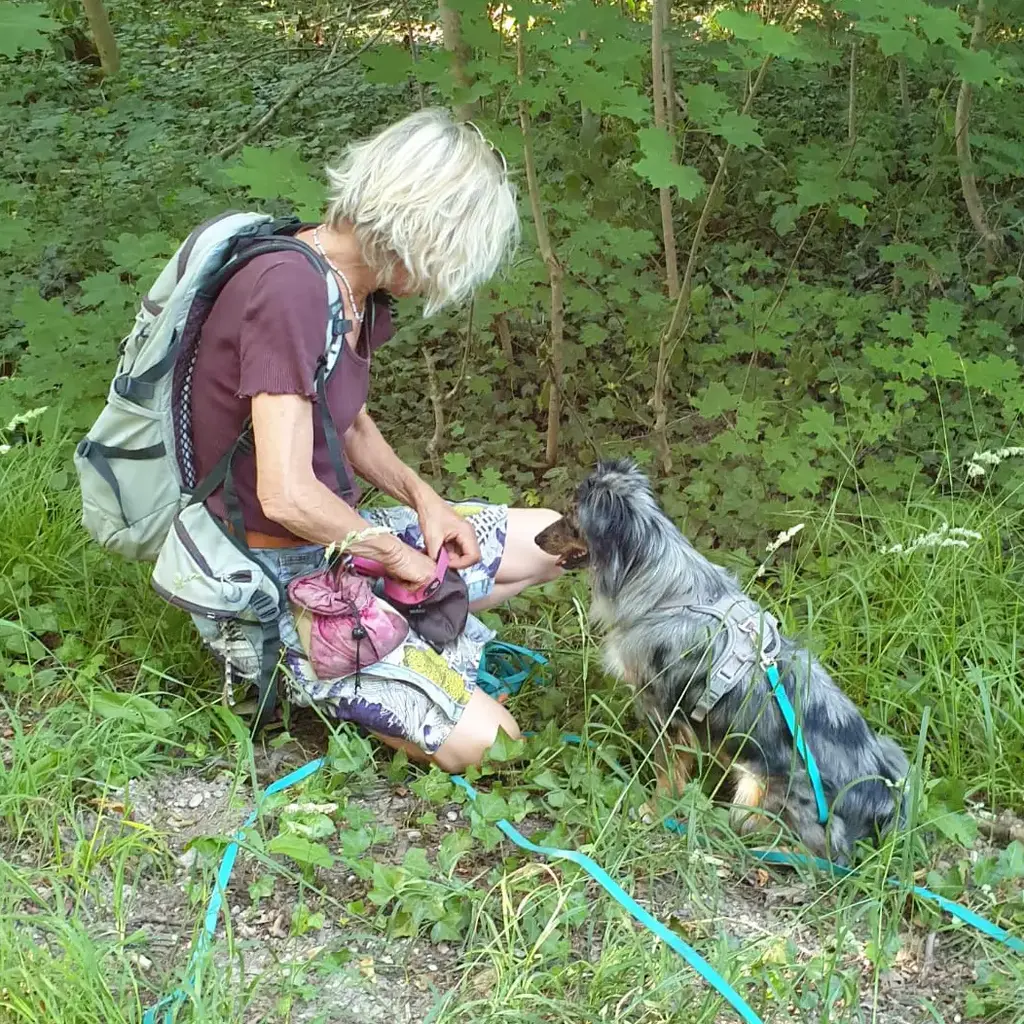Mann mit Mischlingshund vor einem Camper