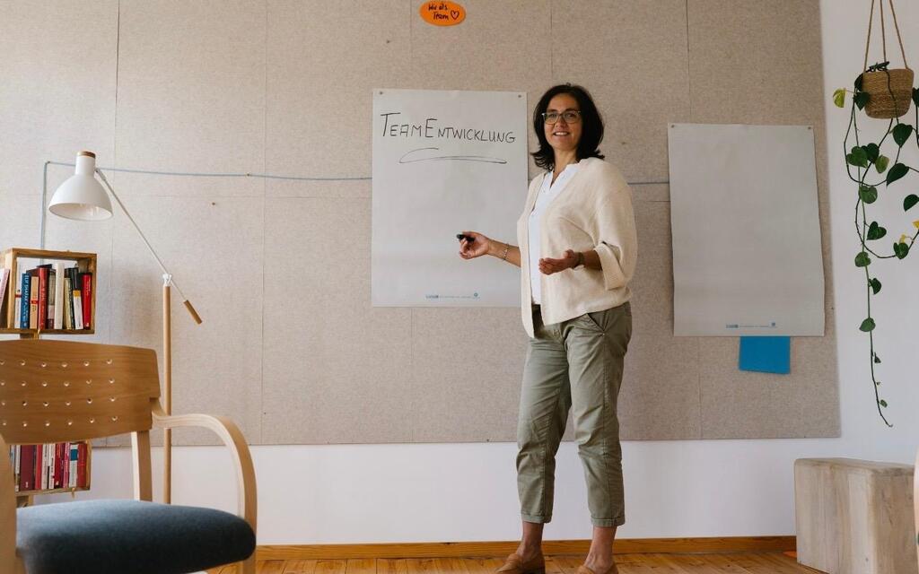 Supervision Mediation Teamentwicklung Coaching für Teams, Gruppen, Organisationen und Unternehmen