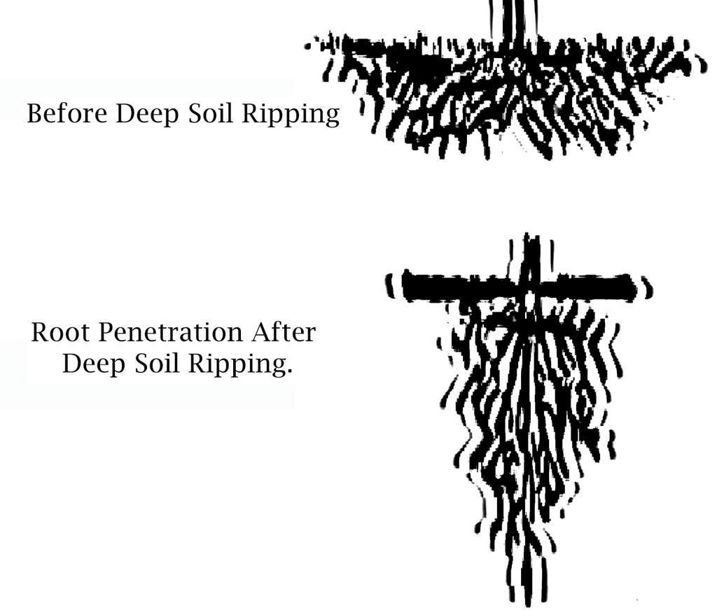 Agricultural Soil Ripping