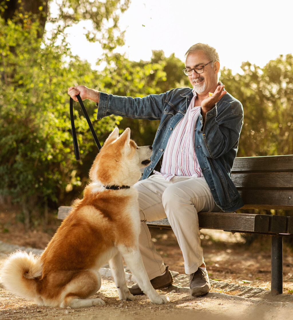 An older man sitting on a bench with his dog sitting in front of him on a lead and giving the dog instructions