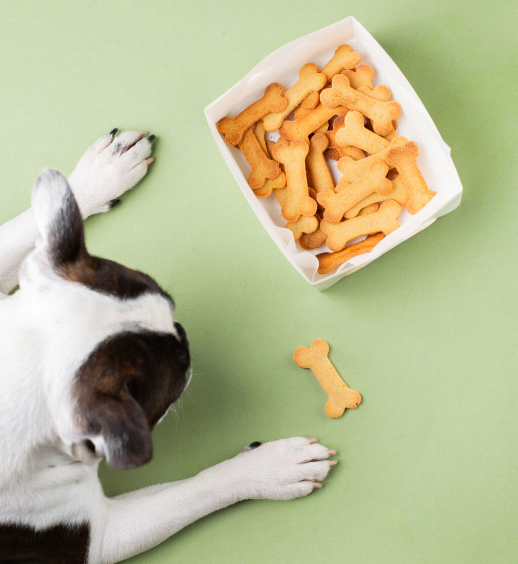 A dog sitting on a pale green surface with a box of bone shaped dog treats