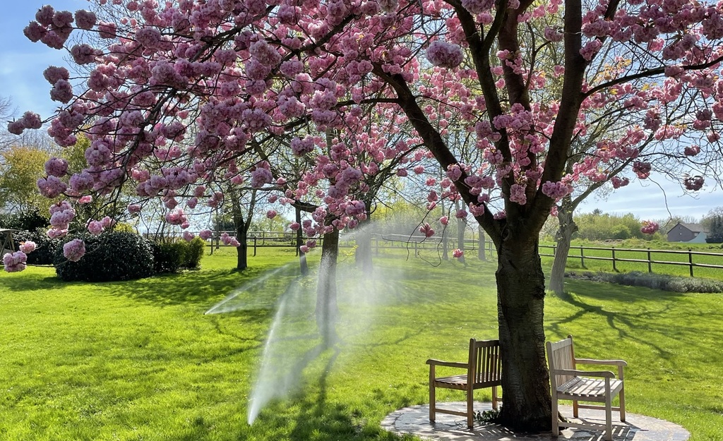Giesskanne bewässert Rasen