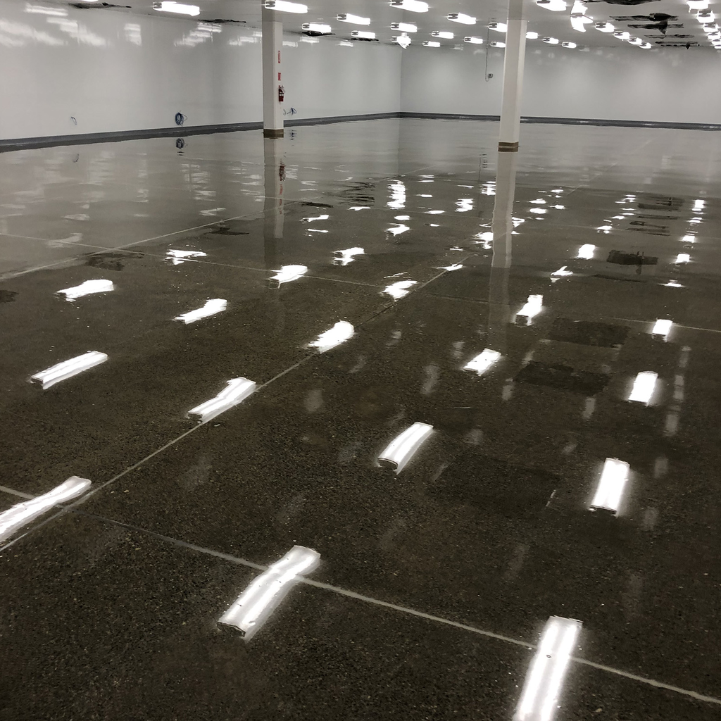 Concrete Polish w/Epoxy Cove Base