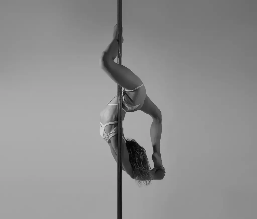Pole Dance Auftritte