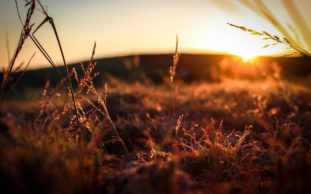 Einfühlsame Trauerrede - St. Wendel, Saarland