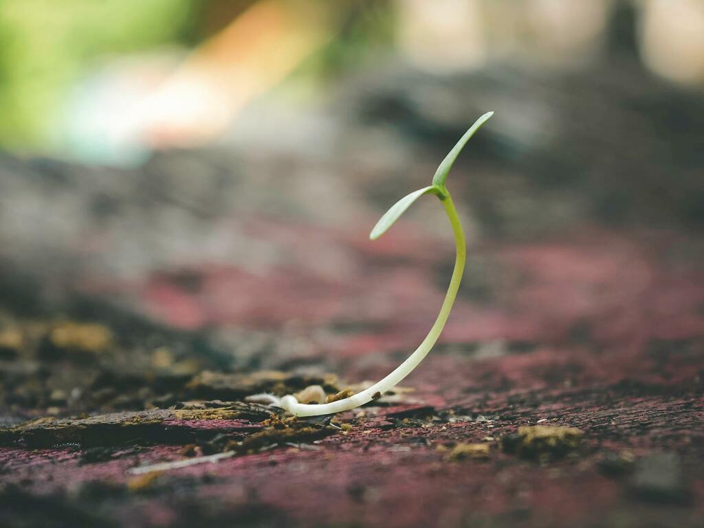 Anke Dörr: Psychologische Beratung St. Wendel im Saarland, Angebot: Persönlichkeitsentwicklung und Selbstwert stärken