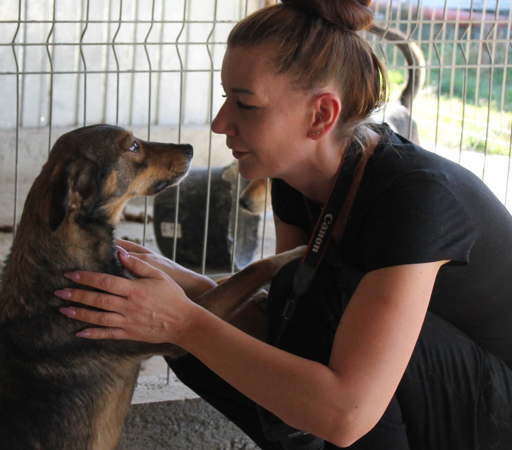 Patenschaften Hunde Rumänien