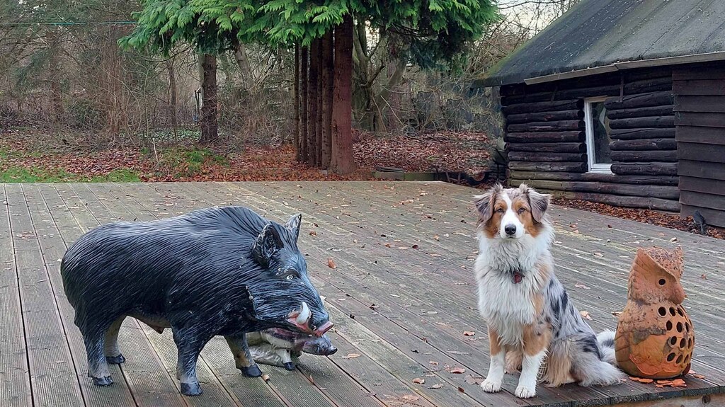 Mehrfamilienhaus Referenz