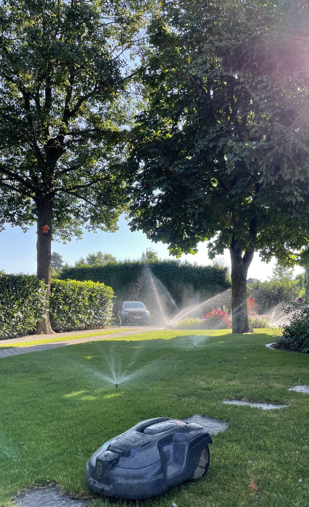 Garten wird bewässert