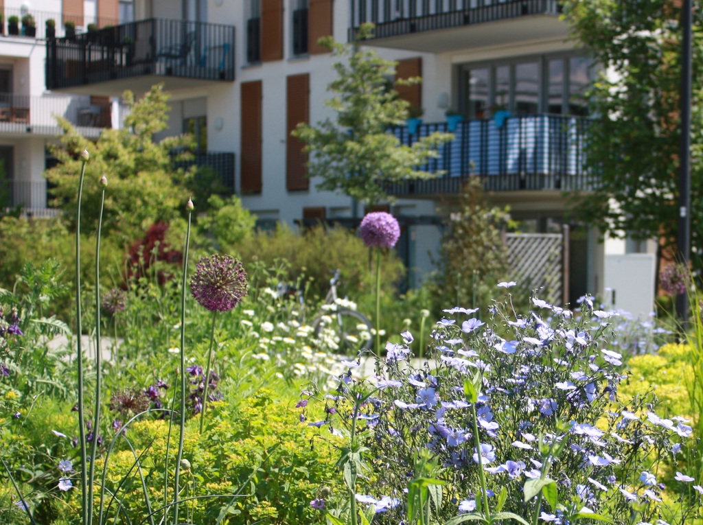 Mehrfamilienhaus mit Balkonen und einer bunt bepflanzten Grünanlage im Vordergrund