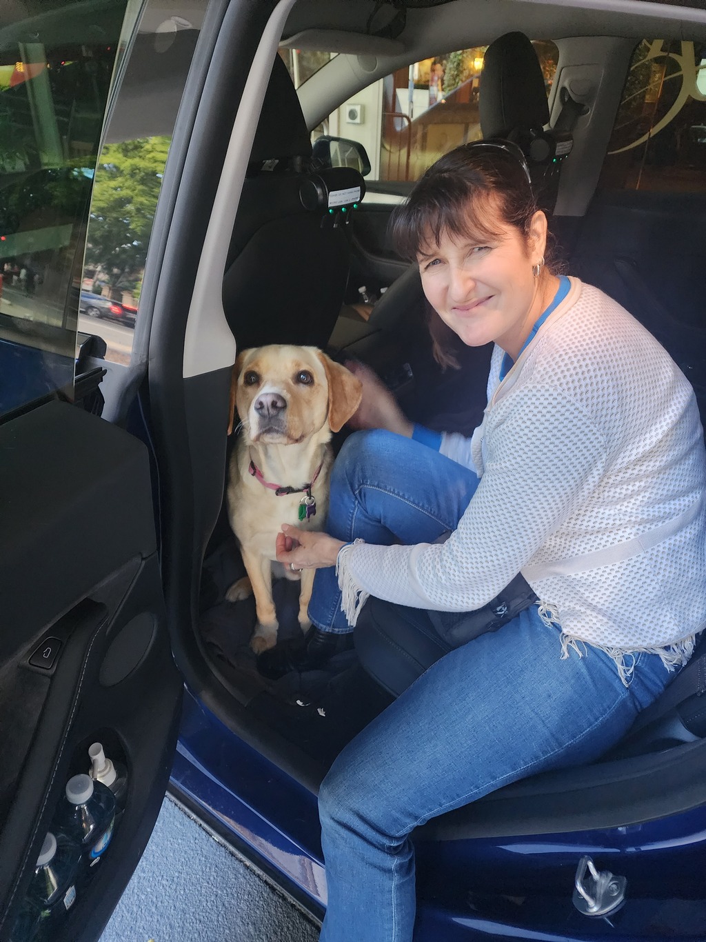 An image of a golden colour guide dog sitting on the floor of a car looking out the door at the camera. A woman is siting on the car seat behind the guide dog looking out the door at the camera smiling