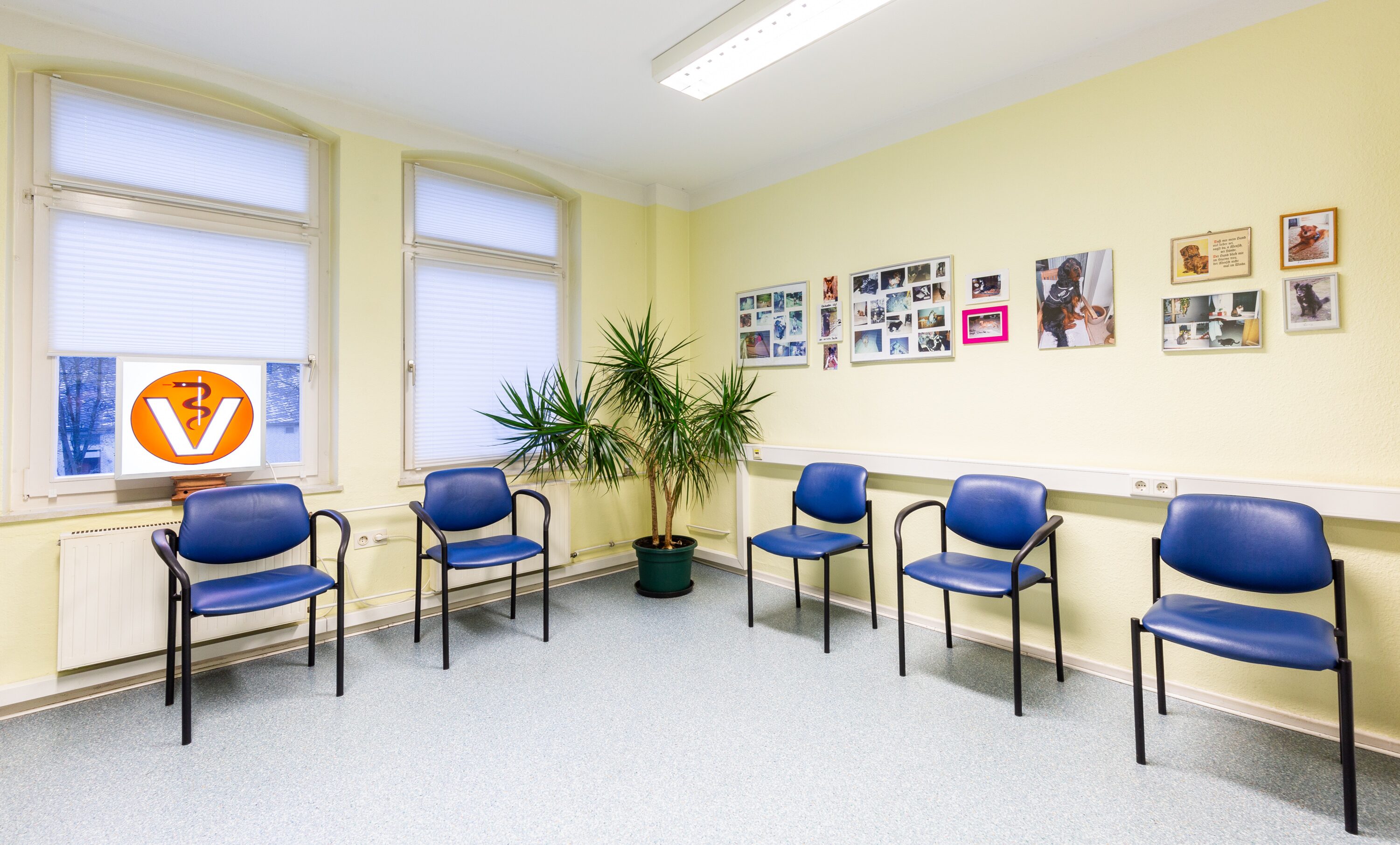 Wartezimmer der Tierarztpraxis