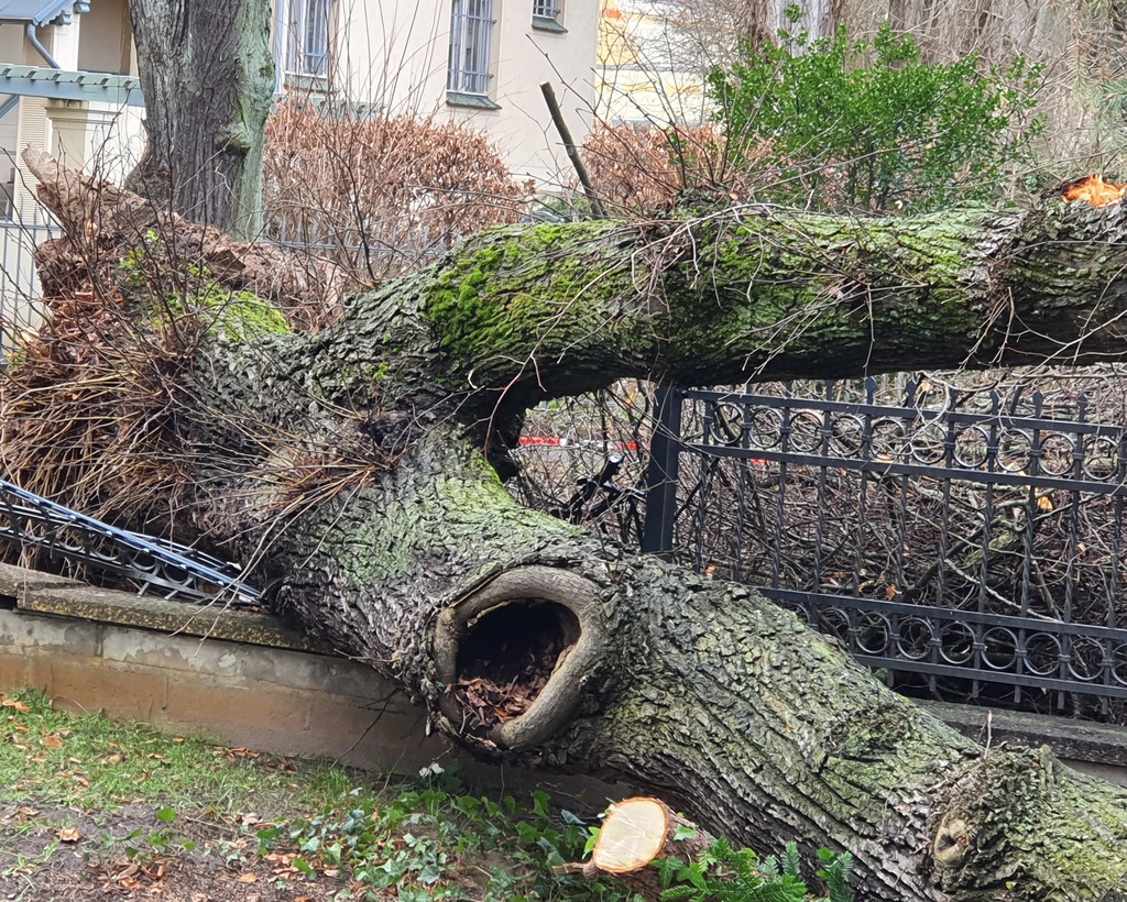 Sachverständigengutachten Berlin Brandenburg