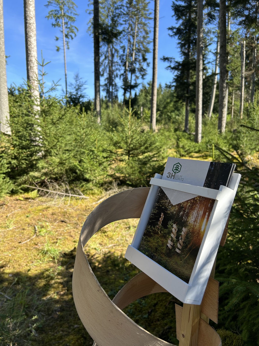 Verwurzelt im Schwarzwald.