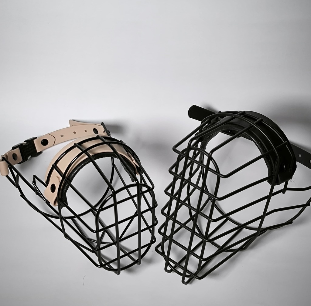 Welpen Training Arnstadt