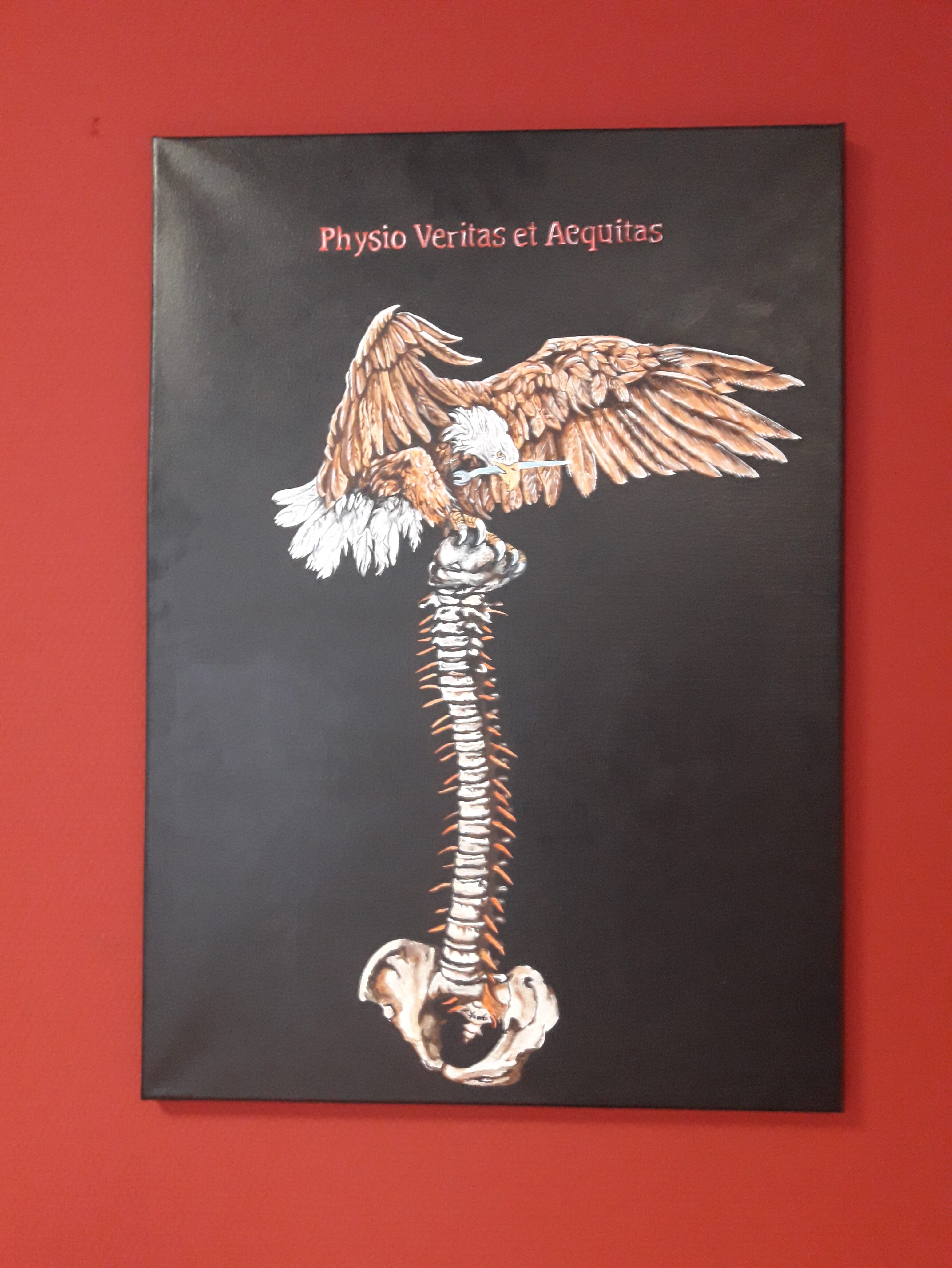 Logo - Physio Veritas et Aequitas