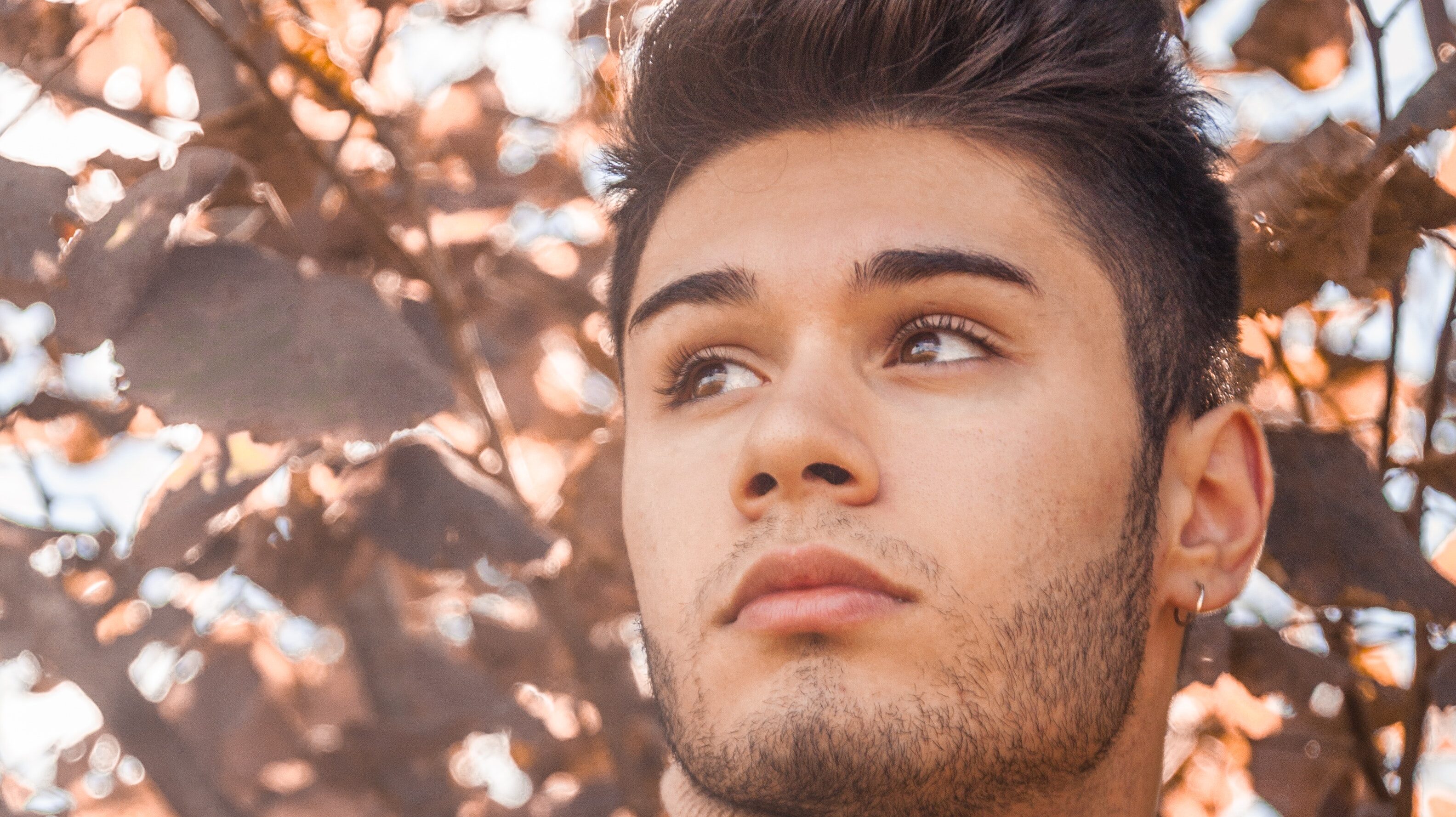 Artikelbild - PRP Platelet Rich Plasma HÅR