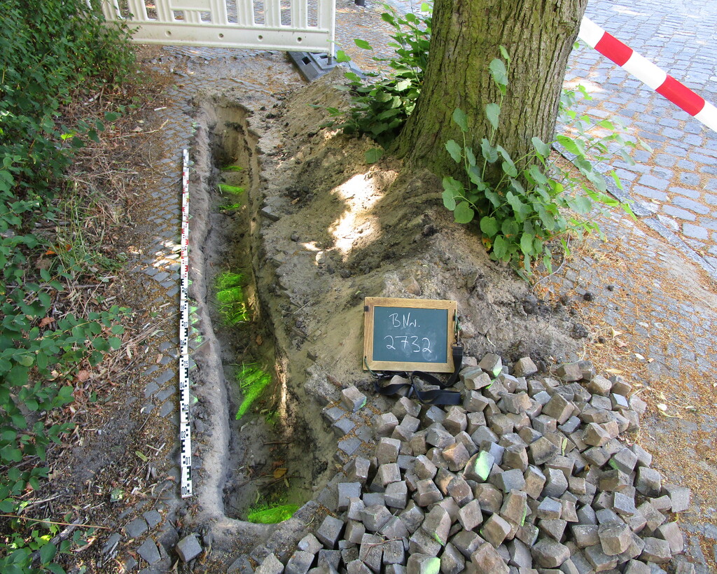 Wurzelsuchschachtungen Berlin Brandenburg