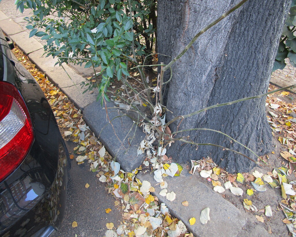 Prüfung der Erhaltenswürdigkeit Berlin Brandenburg