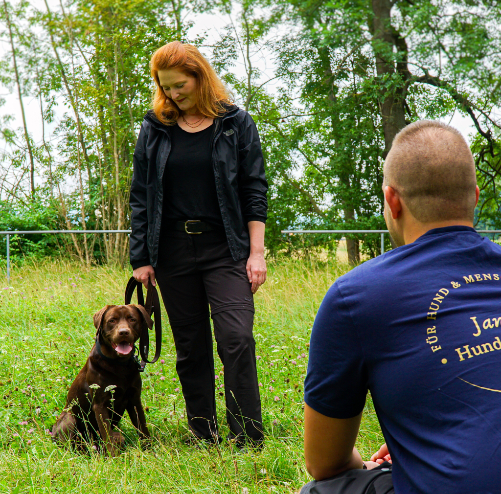 Labrador Training Arnstadt