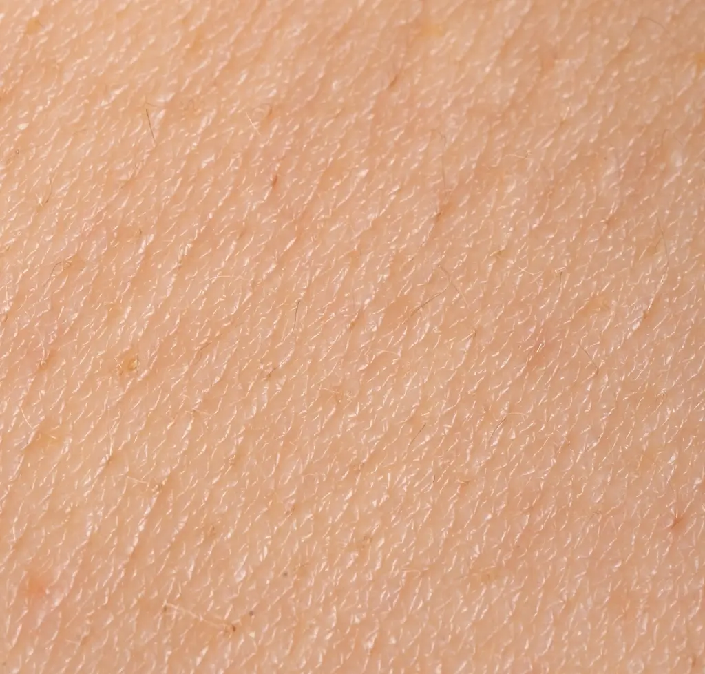 Hautprofil im Detail