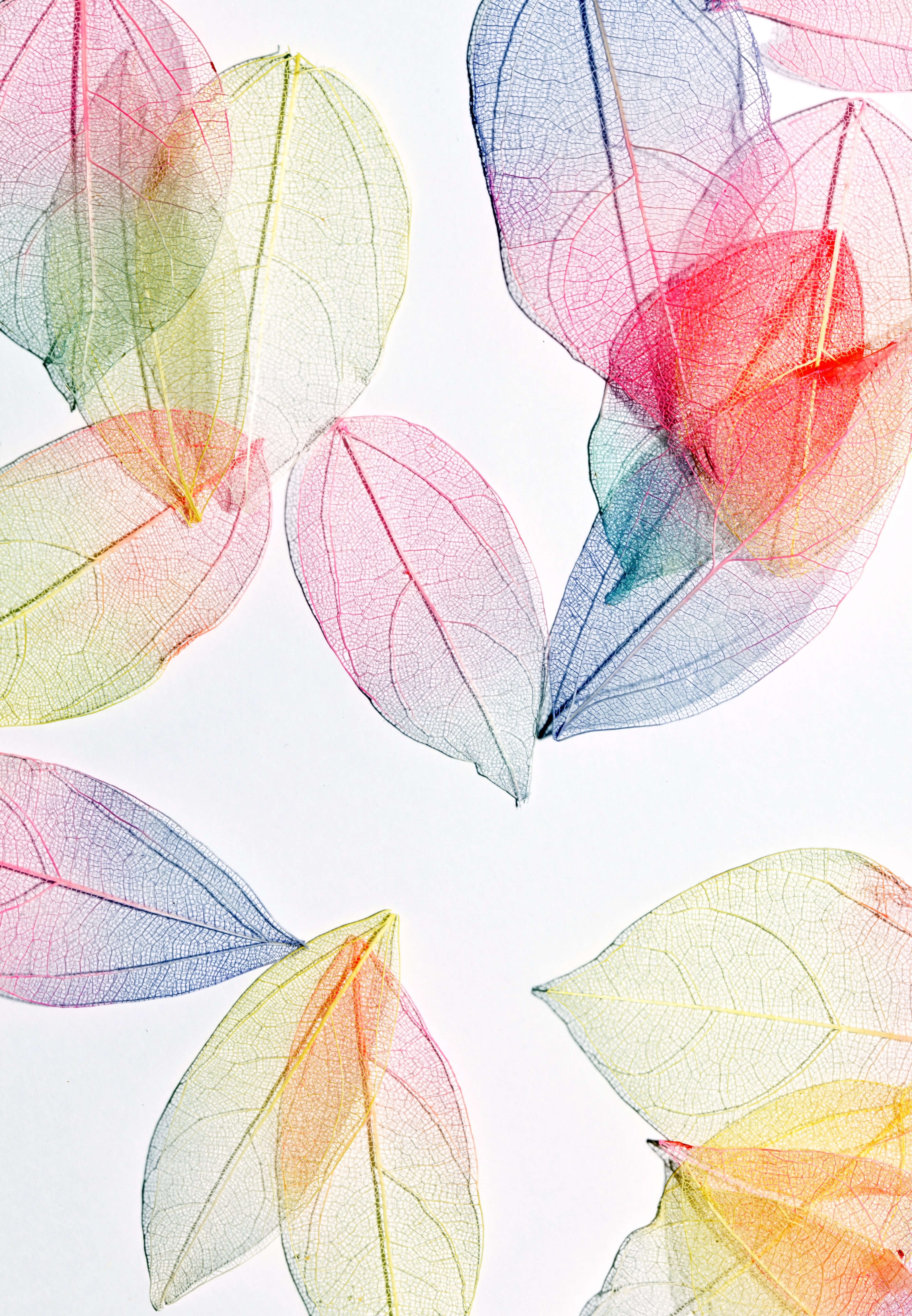 Maler Eifler | Malermeister aus Plettenberg - gesundes Raumklima, ökologische Farben