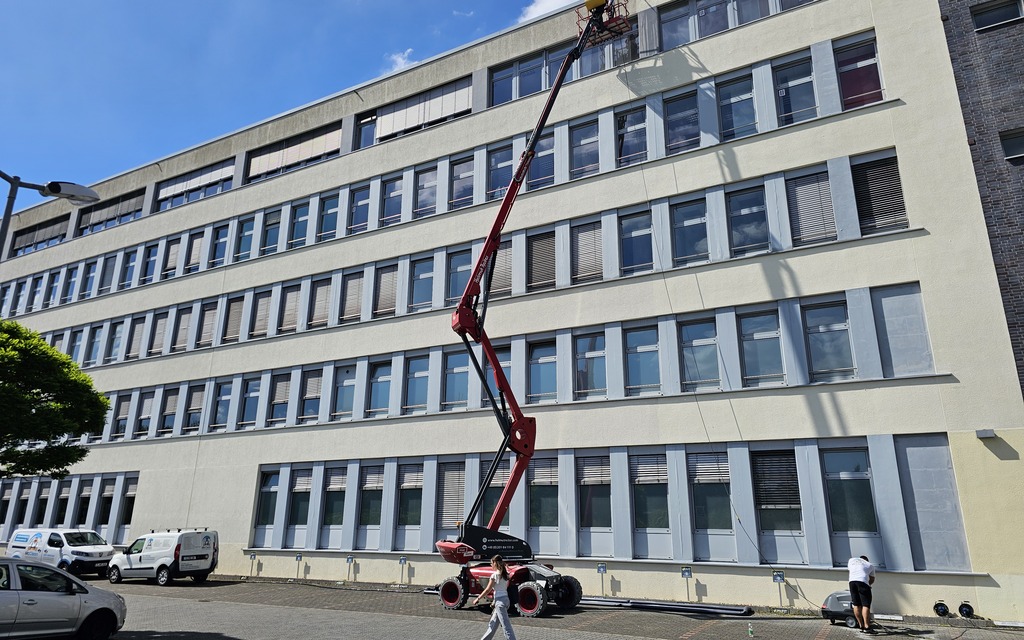 Algen und Moos: Entfernung von Algen und Moos an einer Hausfassade