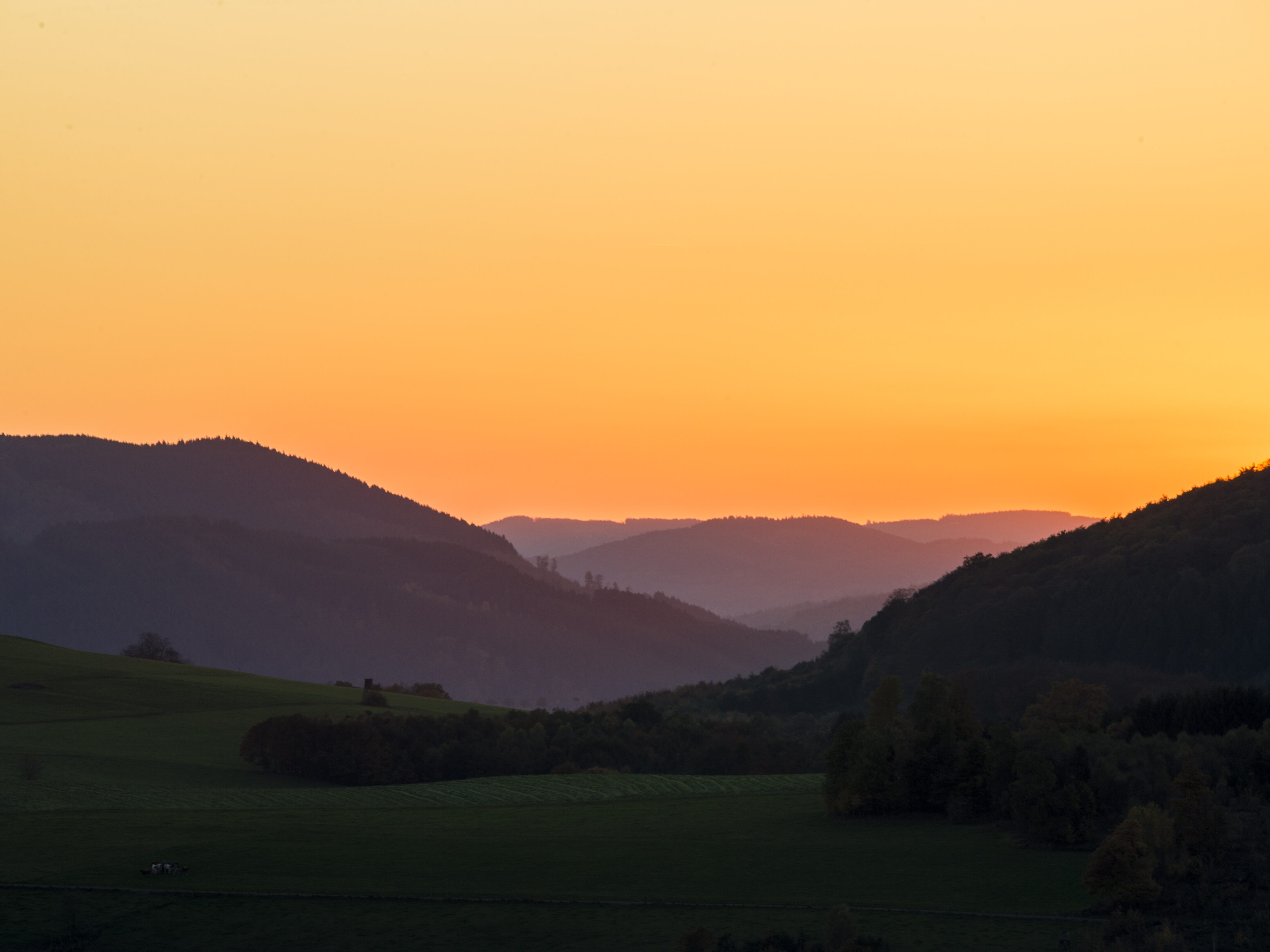Sauerland Alpin Landschaft