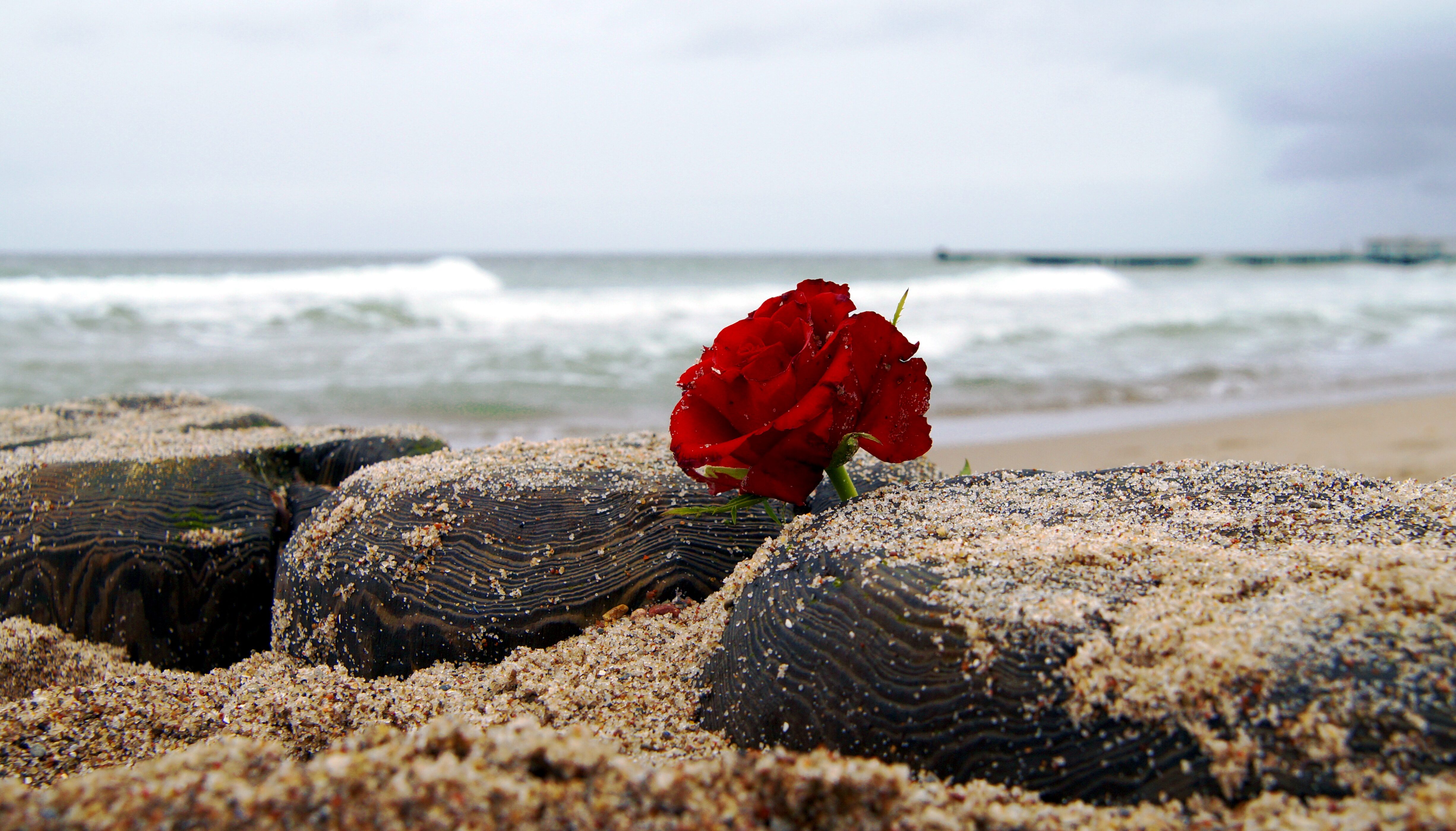 Seebestattungen Bestattungen Plöger