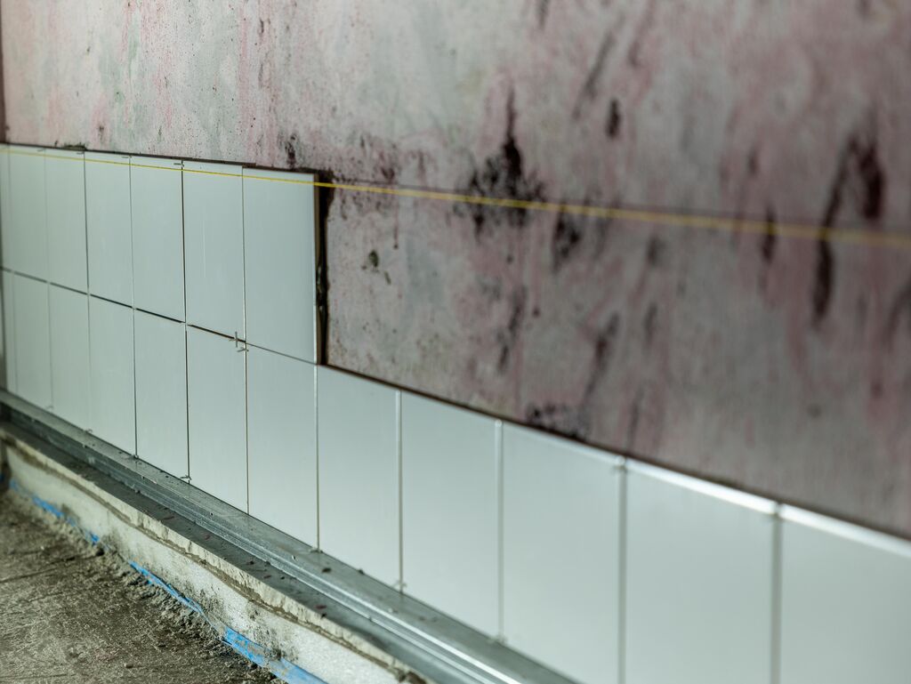 Schlimmelpilzsanierung in Hambu