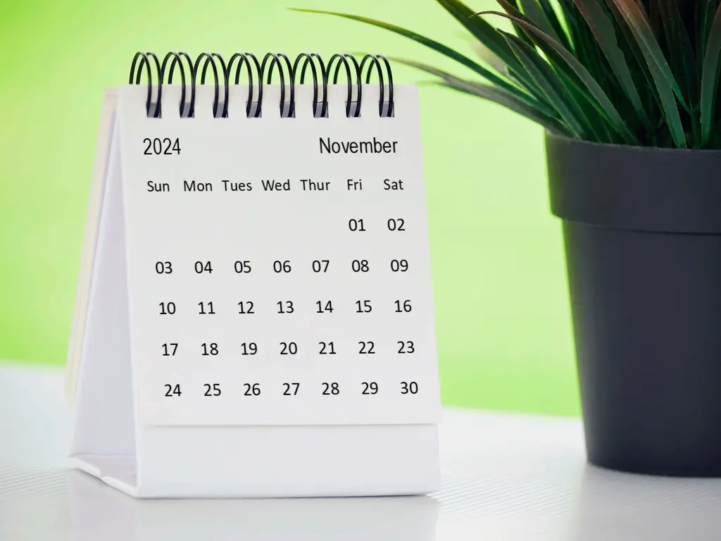 Kalender neben Pflanze