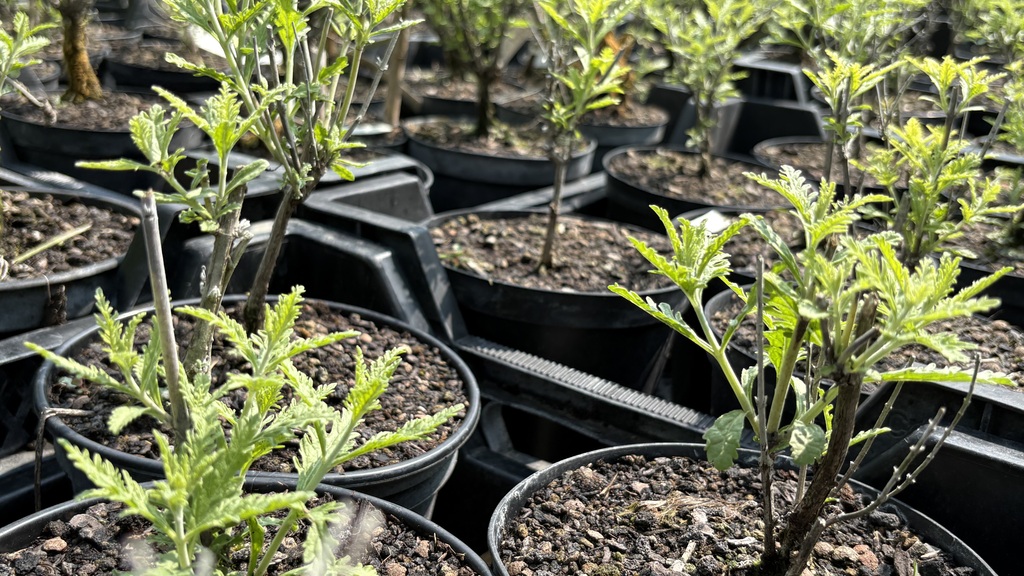 Erfahrung. Qualität. Handschlag-Mentalität.